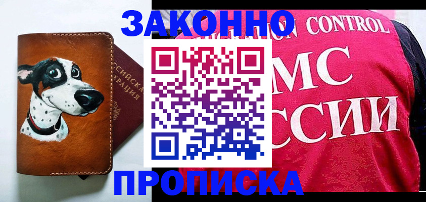 прописка 2025 в Коле